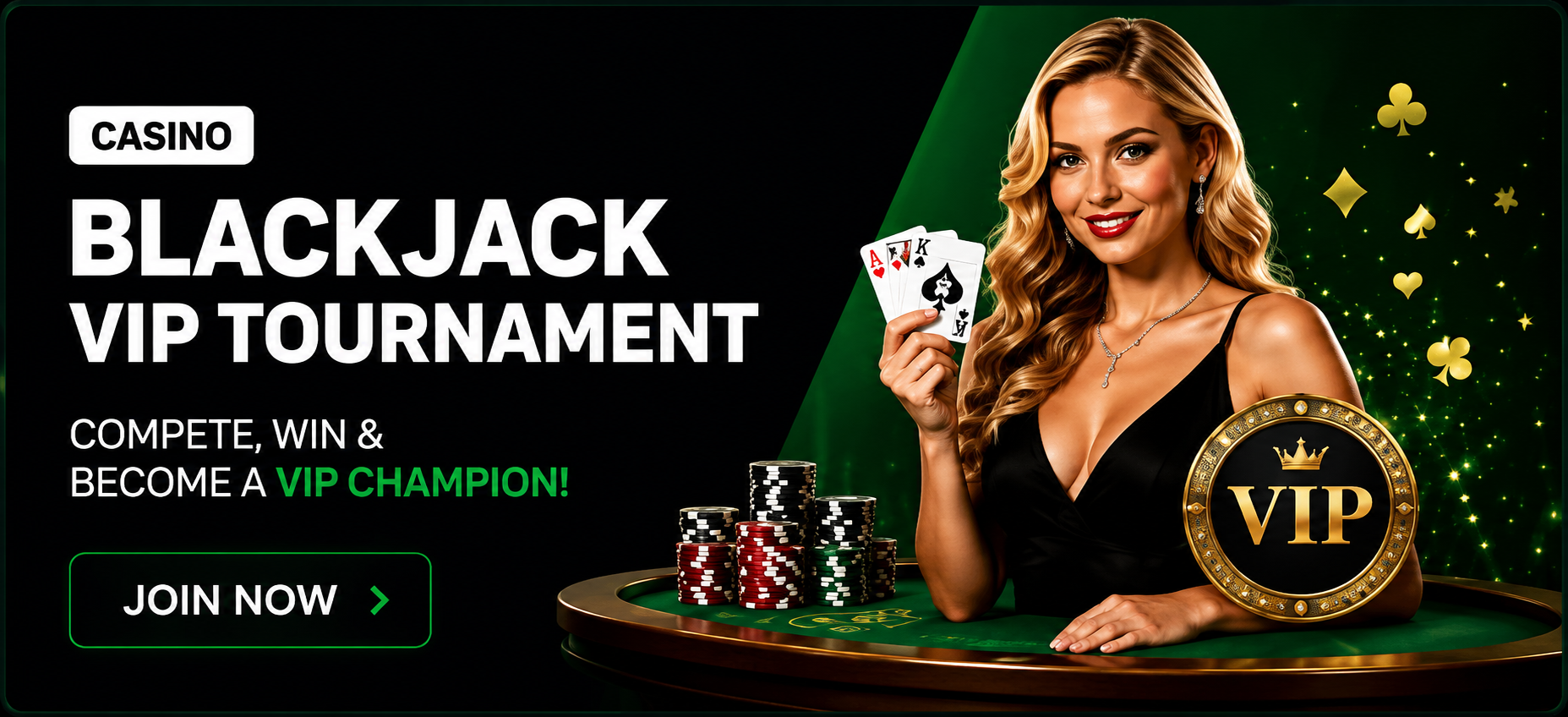 Promotional Banner